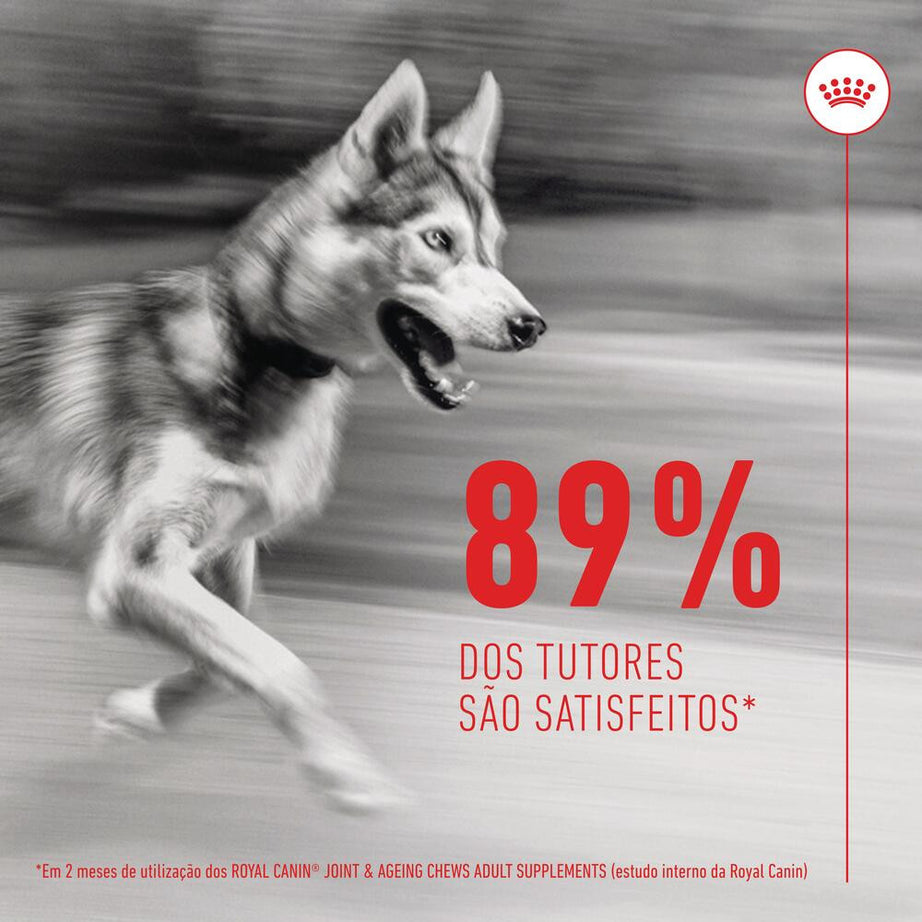 Royal Canin Joint & Ageing Chews - Suplemento para cão com sensibilidade articular 240g