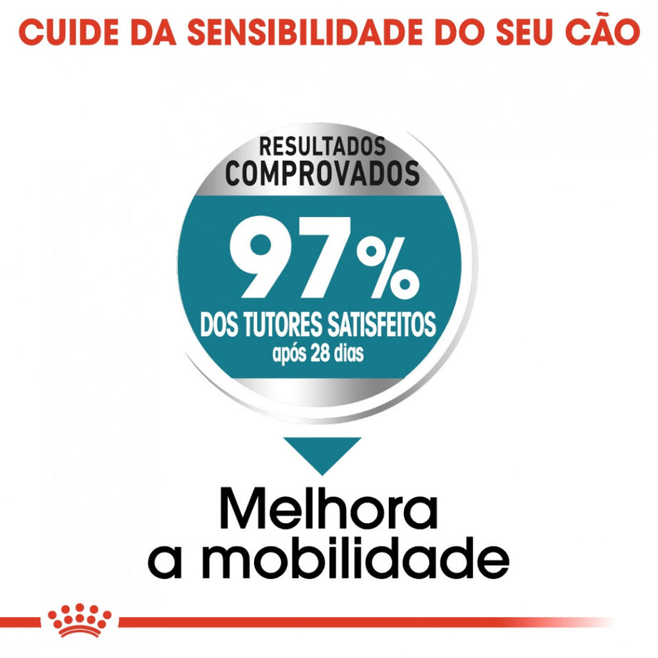 Royal Canin Dog Maxi Joint Care | 10 kg - Ração seca para cão adulto de porte grande com sensibilidade articular