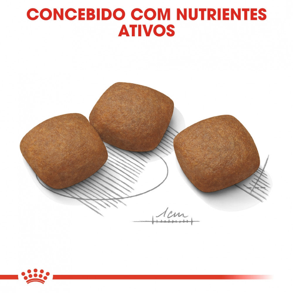 Royal Canin Dog Maxi Joint Care | 10 kg - Ração seca para cão adulto de porte grande com sensibilidade articular