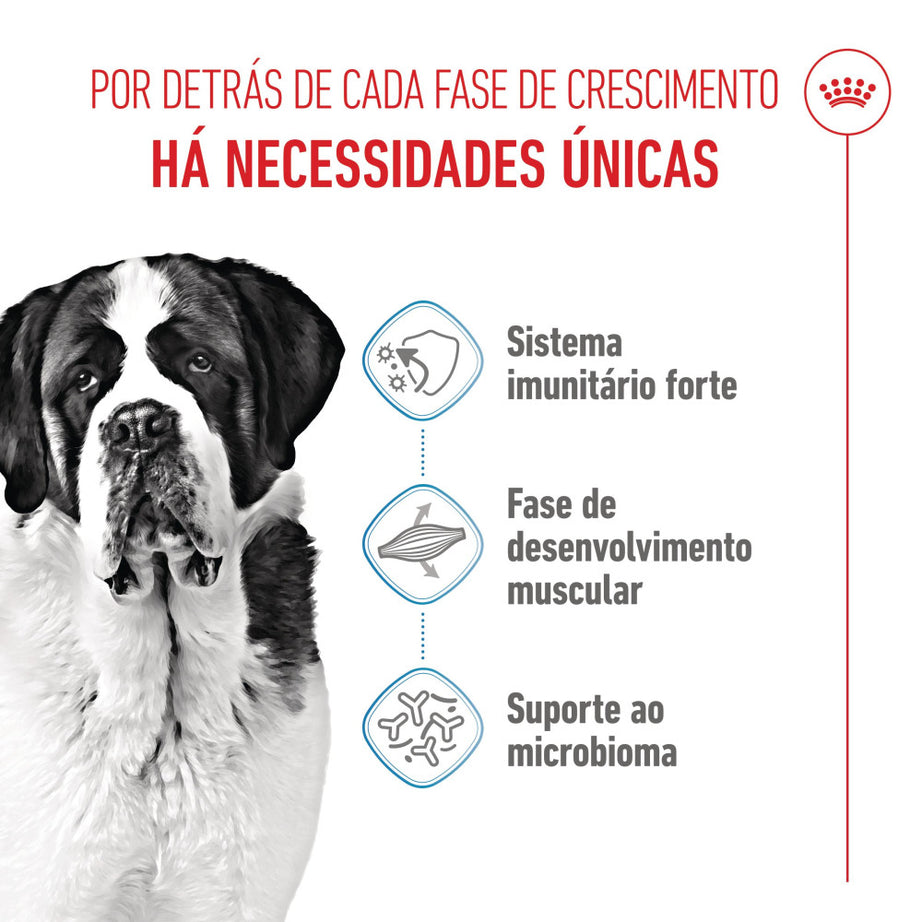Royal Canin Dog Giant Junior | 15 Kg - Ração seca para cão jovem de raça gigante (8 a 24 meses)