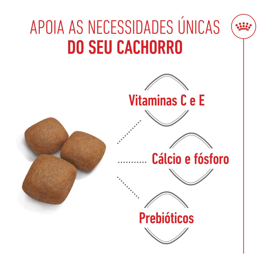Royal Canin Dog Giant Junior | 15 Kg - Ração seca para cão jovem de raça gigante (8 a 24 meses)