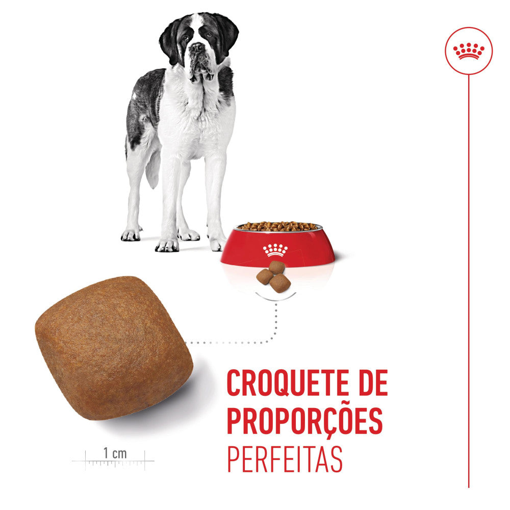 Royal Canin Dog Giant Junior | 15 Kg - Ração seca para cão jovem de raça gigante (8 a 24 meses)