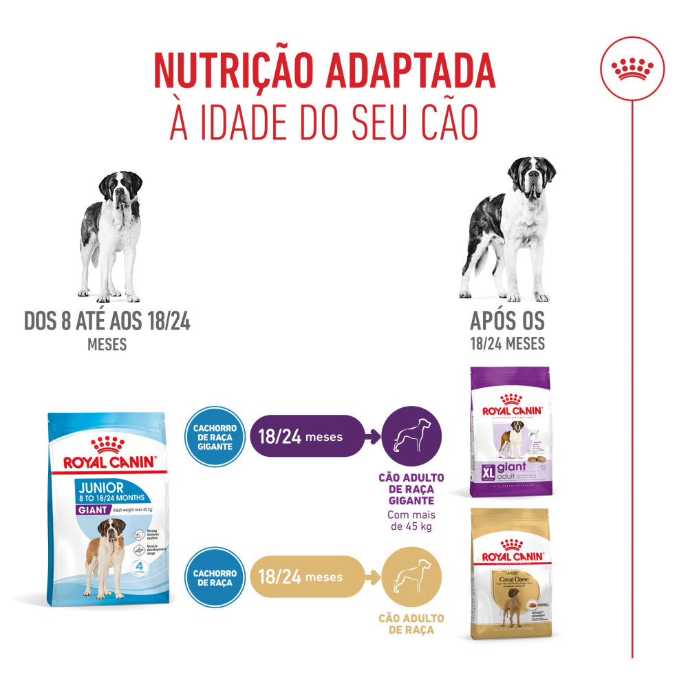Royal Canin Dog Giant Junior | 15 Kg - Ração seca para cão jovem de raça gigante (8 a 24 meses)