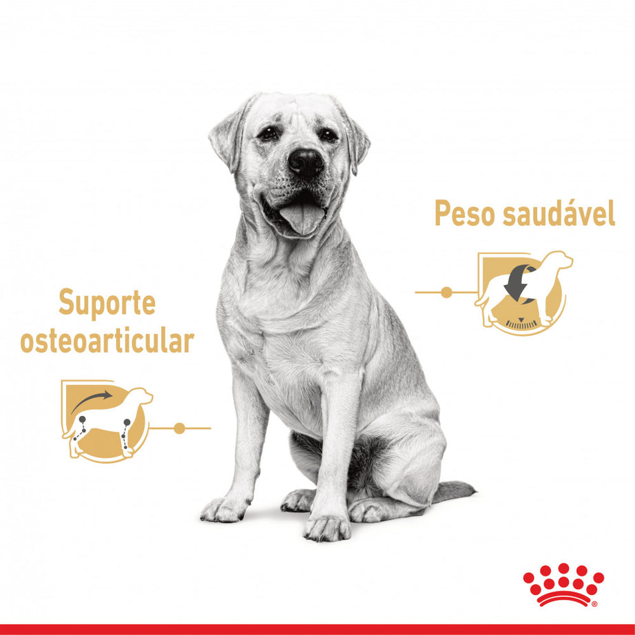Royal Canin Dog Labrador Retriever Adult | Wet (pouch) | 10 x 140 g