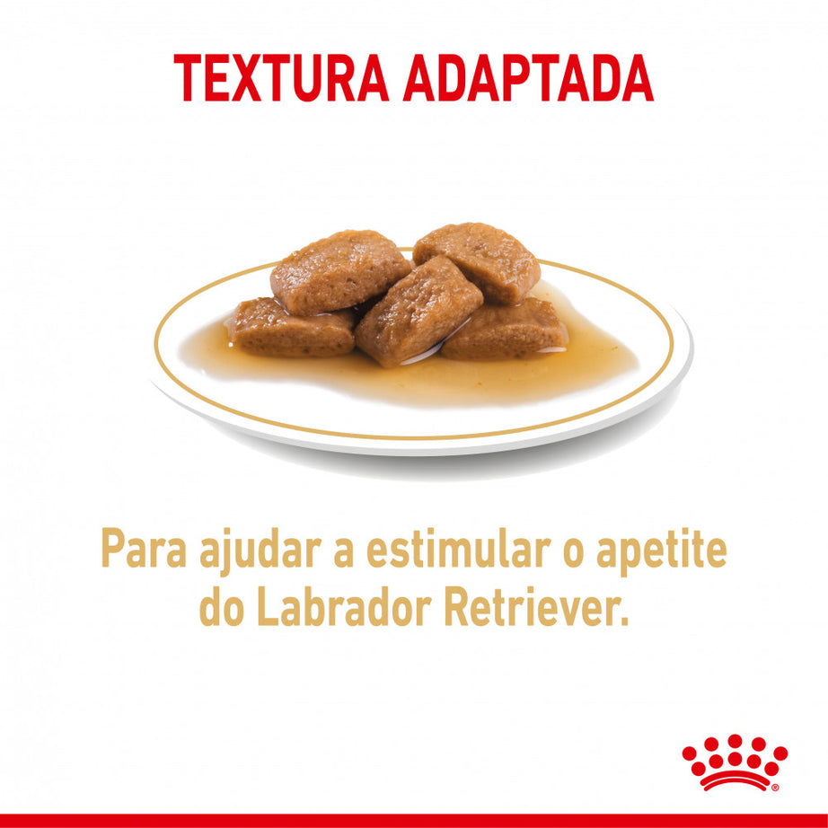 Royal Canin Dog Labrador Retriever Adult | Wet (pouch) | 10 x 140 g
