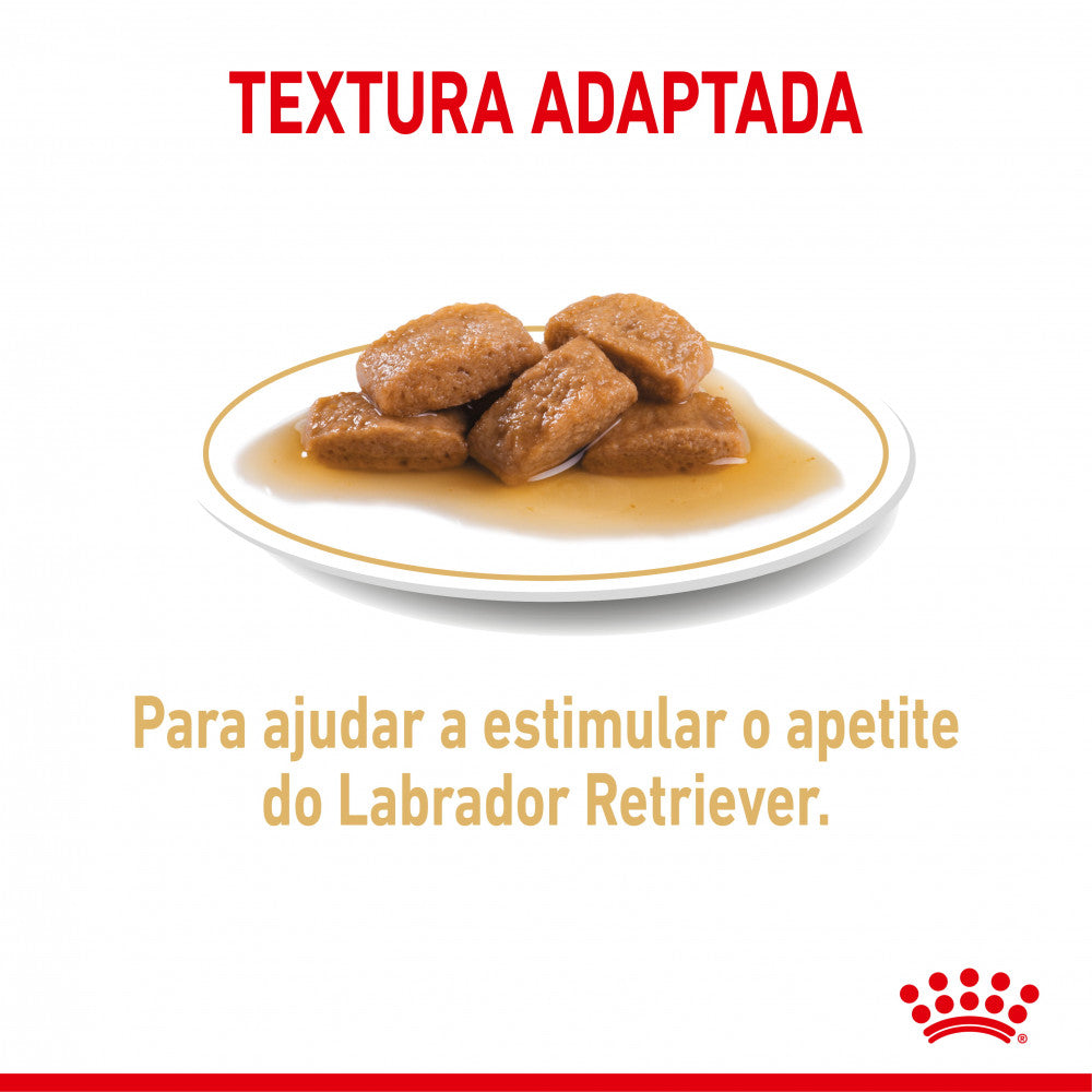 Royal Canin Dog Labrador Retriever Adult | Wet (pouch) | 10 x 140 g