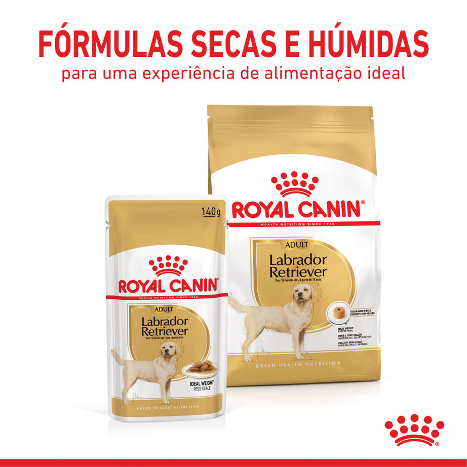 Royal Canin Dog Labrador Retriever Adult | Wet (pouch) | 10 x 140 g