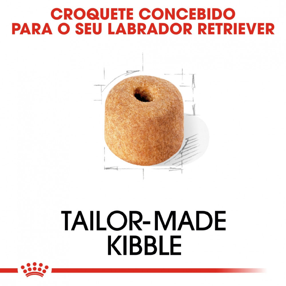 Royal Canin Dog Labrador Retriever Adult - Ração seca para cão adulto da raça Labrador Retriever