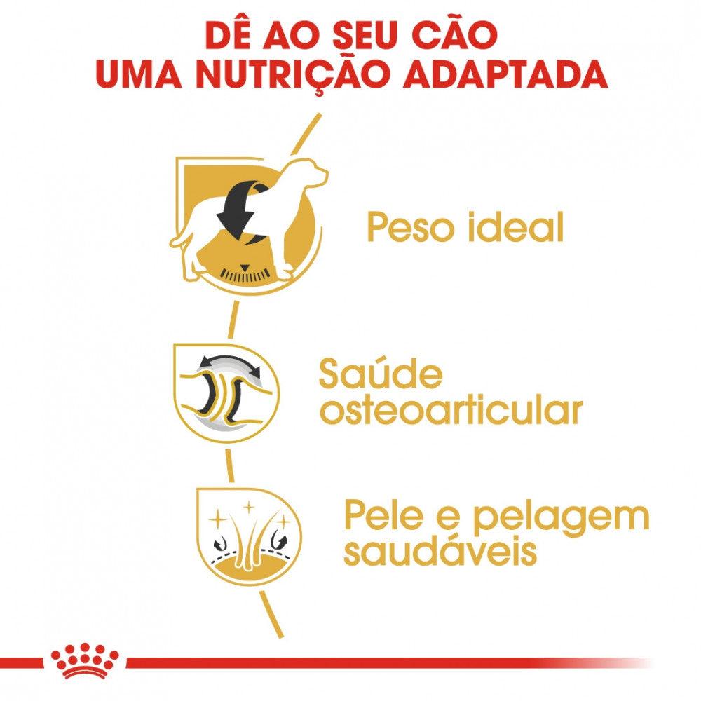 Royal Canin Dog Labrador Retriever Adult - Ração seca para cão adulto da raça Labrador Retriever