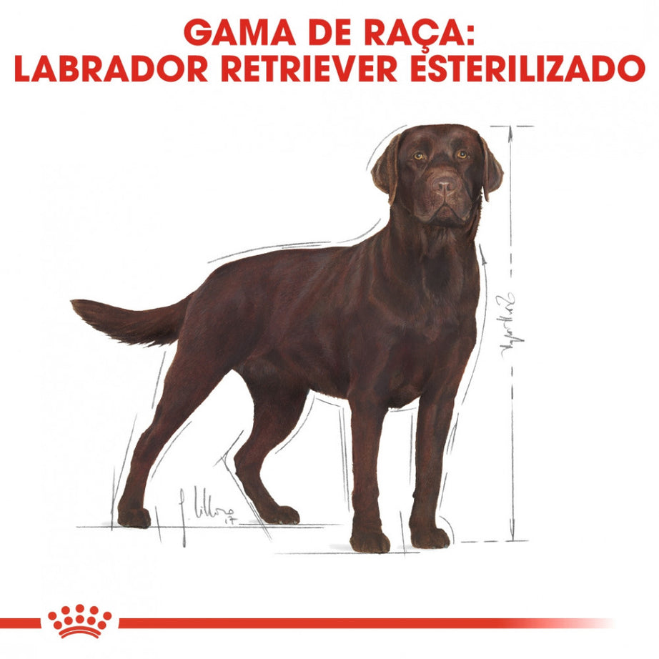 Royal Canin Labrador Retriever Adult Sterilised Dog | 12 kg