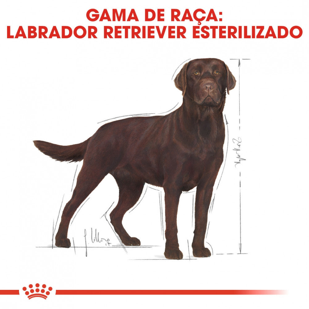 Royal Canin Labrador Retriever Adult Sterilised Dog | 12 kg