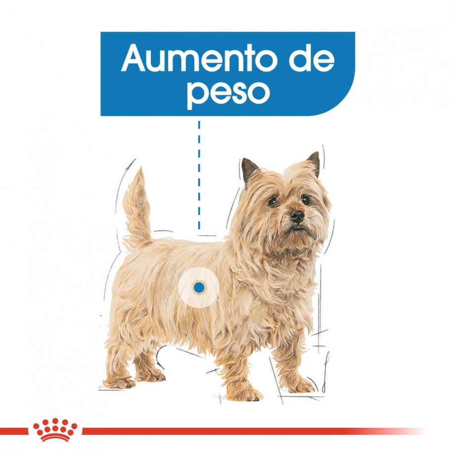 Royal Canin Dog Light Weight Care | Wet (Pouch) | 12 x 85 g