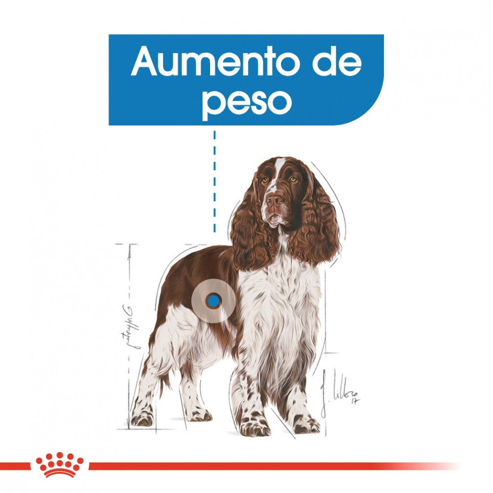 Royal Canin Light Weight Care Medium Adult - Dry food for medium-sized dogs for weight control