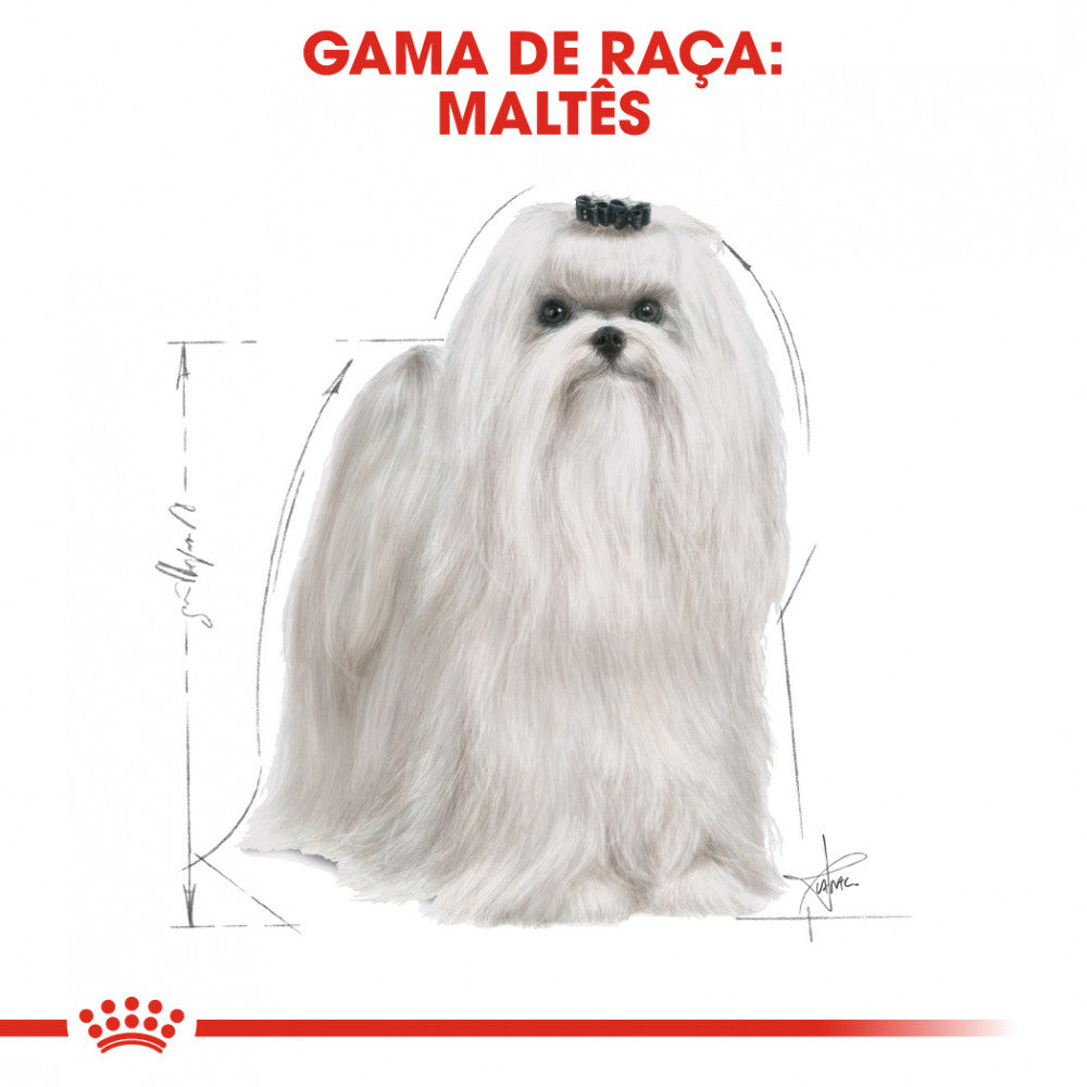Royal Canin Maltese Adult Dry Dog Food | 1.5 kg
