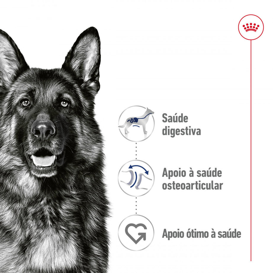 Royal Canin Dog Maxi Adult | Wet (Pouch) | 10 x 140 g