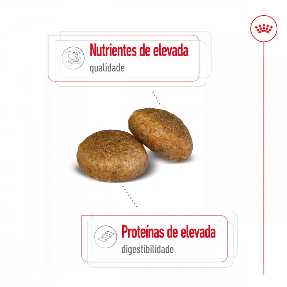 Royal Canin Dog Maxi Adult | 15 kg