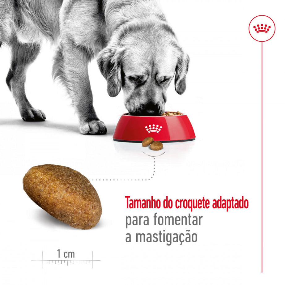 Royal Canin Dog Maxi Adult | 15 kg