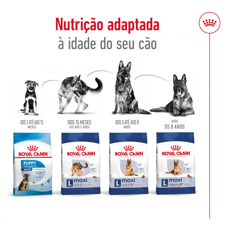 Royal Canin Dog Maxi Adult | 15 kg
