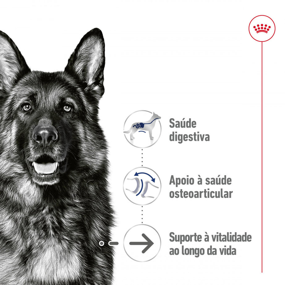 Royal Canin Dog Maxi Ageing 8+ | Wet (Pouch) | 10 x 140 g