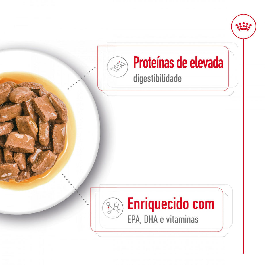 Royal Canin Dog Maxi Ageing 8+ | Wet (Pouch) | 10 x 140 g