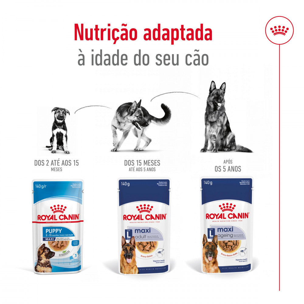 Royal Canin Dog Maxi Ageing 8+ | Wet (Pouch) | 10 x 140 g