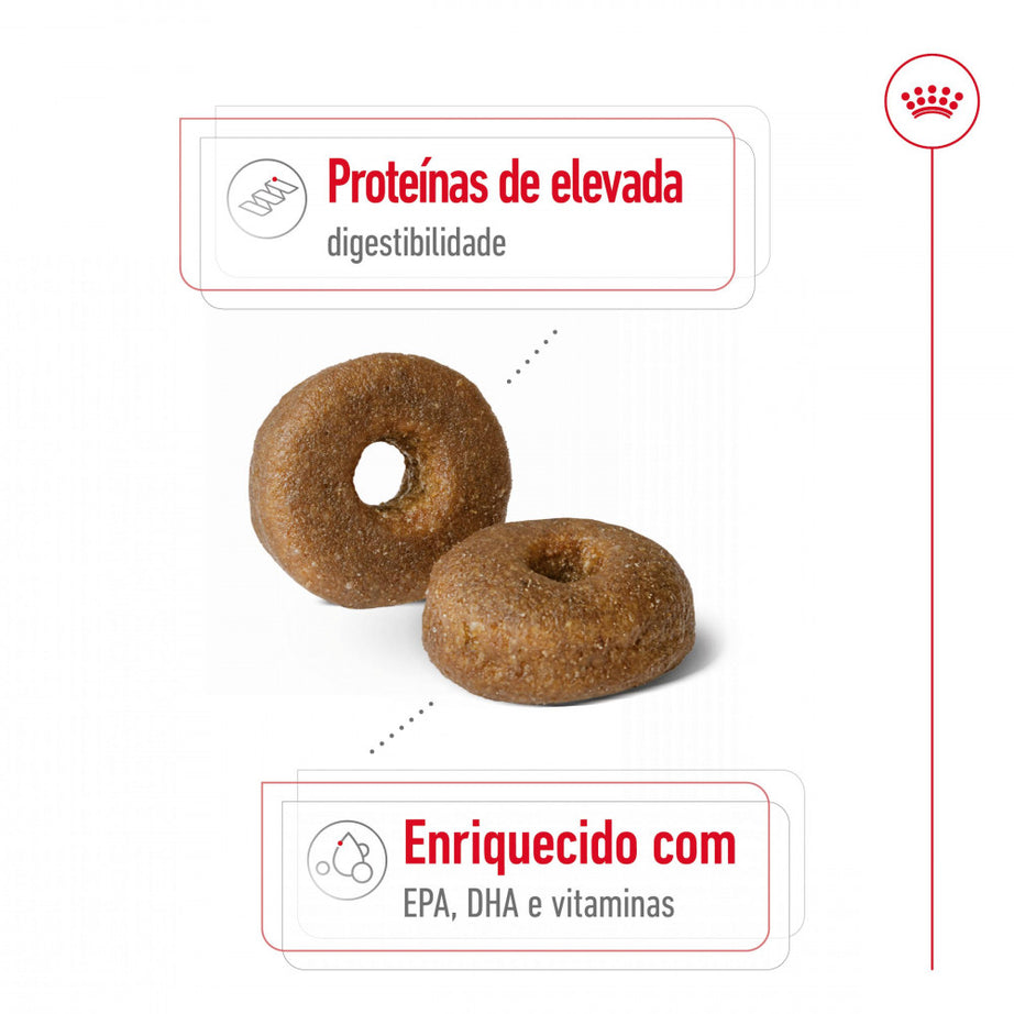 Royal Canin Dog Maxi Ageing 8 + | 15 Kg - Ração seca para cão Sénior de porte grande com 8+