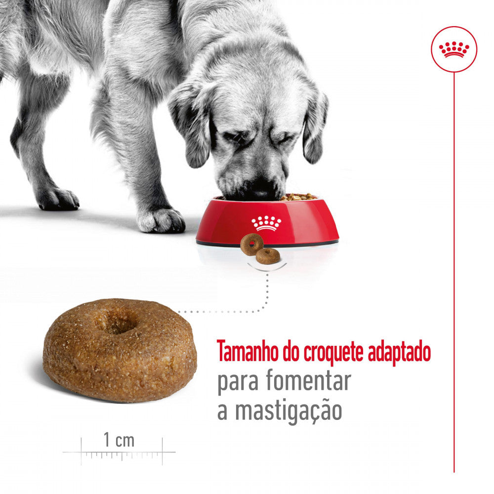 Royal Canin Dog Maxi Ageing 8 + | 15 Kg - Ração seca para cão Sénior de porte grande com 8+