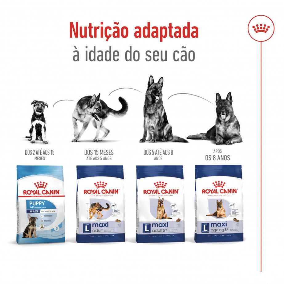 Royal Canin Dog Maxi Ageing 8 + | 15 Kg - Ração seca para cão Sénior de porte grande com 8+