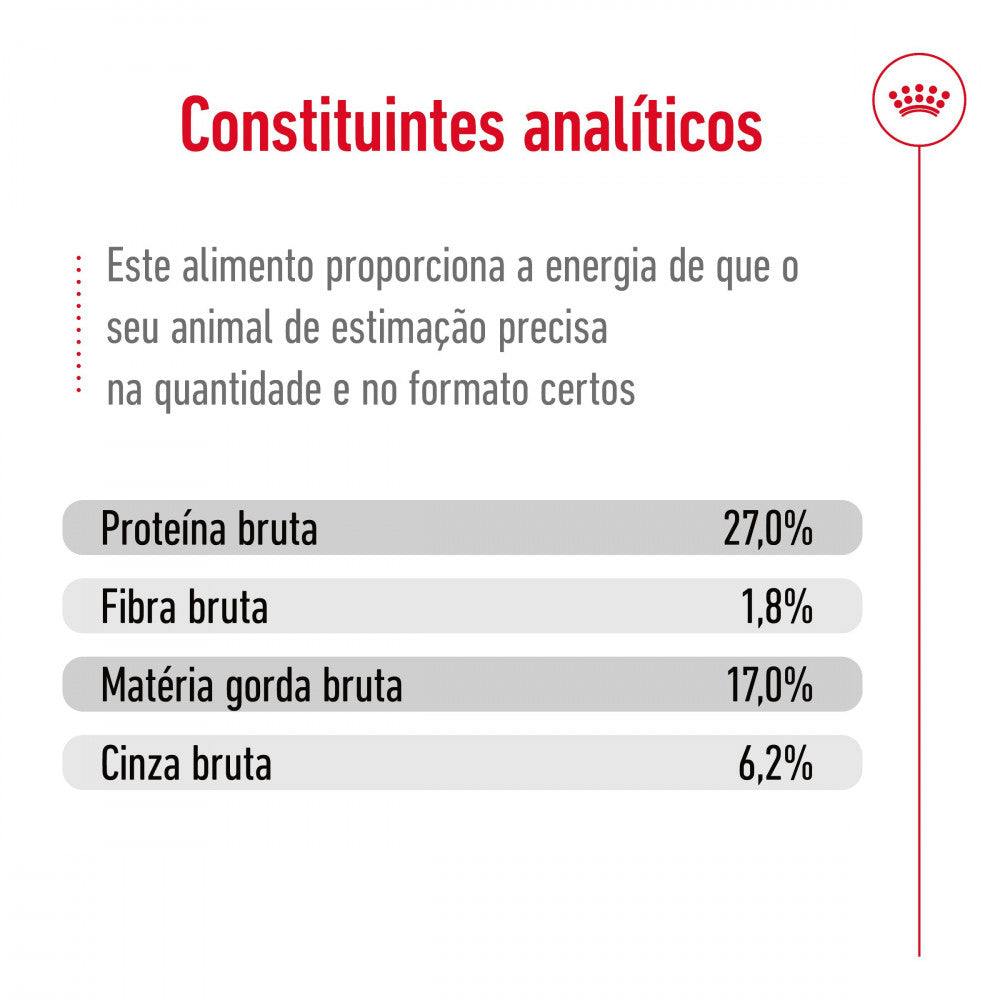 Royal Canin Dog Maxi Ageing 8 + | 15 Kg - Ração seca para cão Sénior de porte grande com 8+