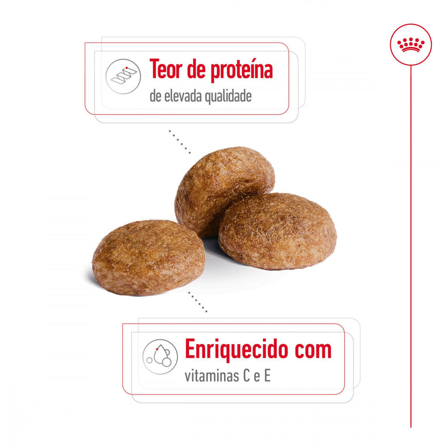 Royal Canin Medium Adult 7+ - Dry food for senior medium-breed dogs