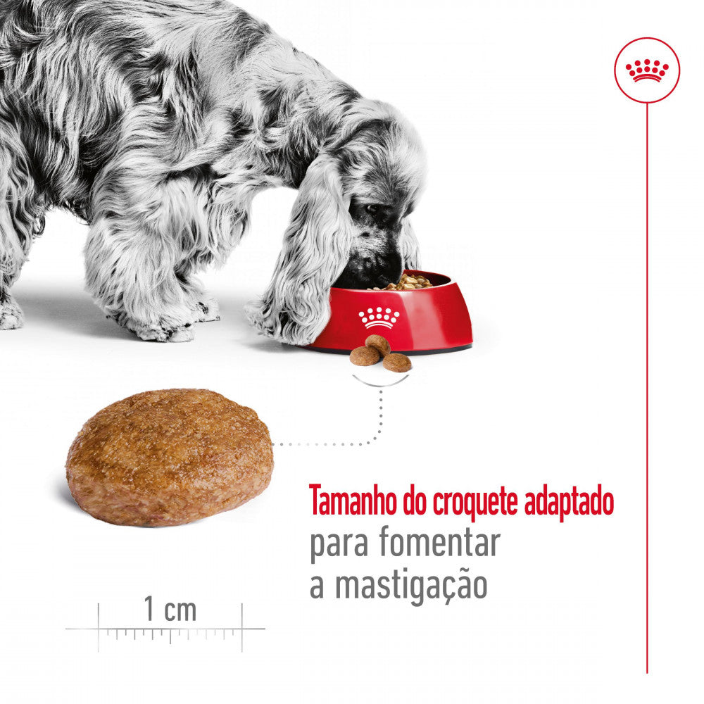 Royal Canin Medium Adult 7+ - Dry food for senior medium-breed dogs