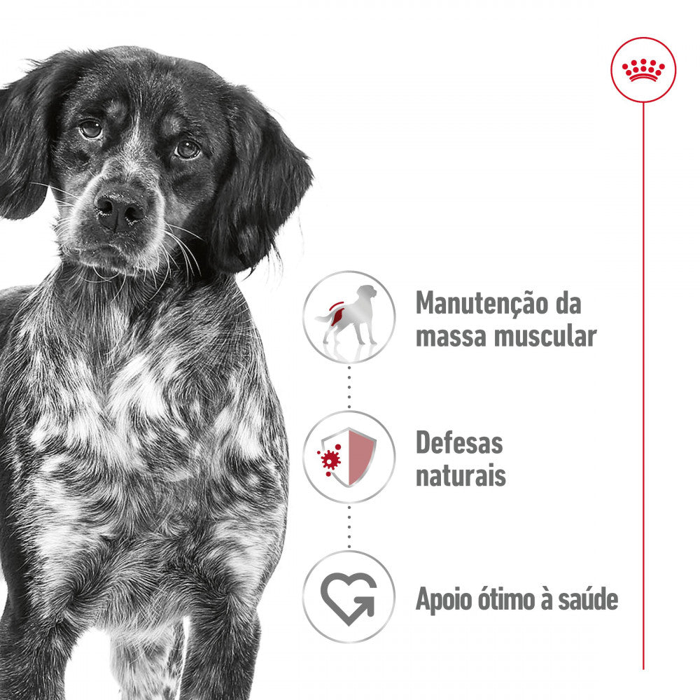 Royal Canin Dog Medium Adult | Wet (Pouch) | 10 x 140 g