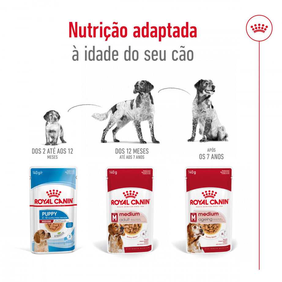 Royal Canin Dog Medium Adult | Wet (Pouch) | 10 x 140 g