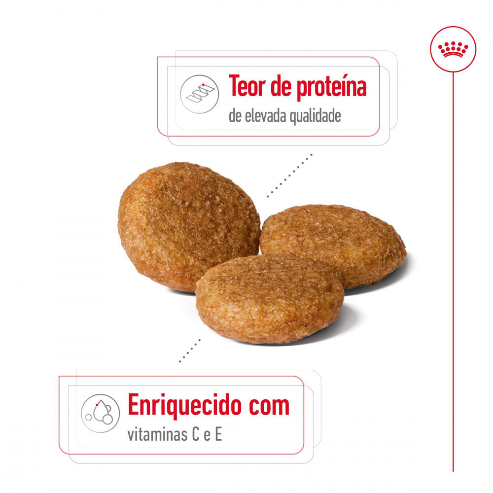 Royal Canin Medium Adult Dog