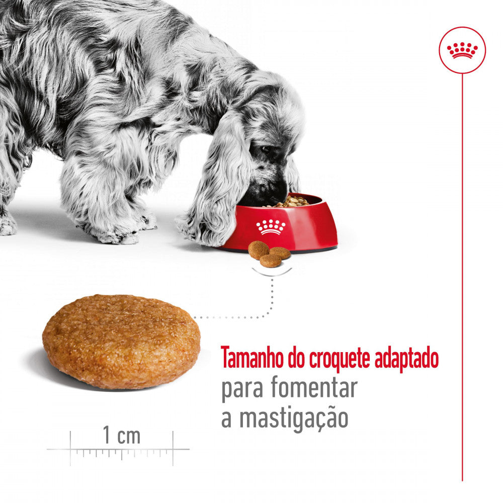 Royal Canin Medium Adult Dog