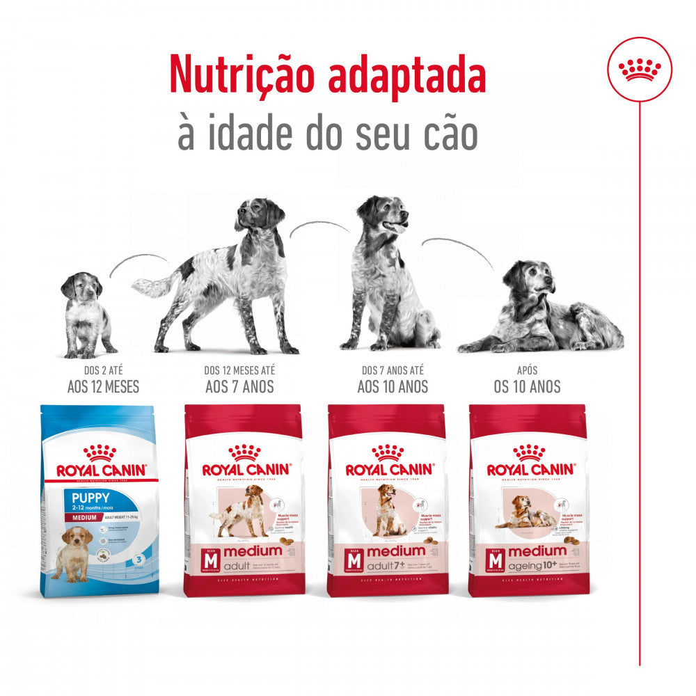 Royal Canin Medium Adult Dog