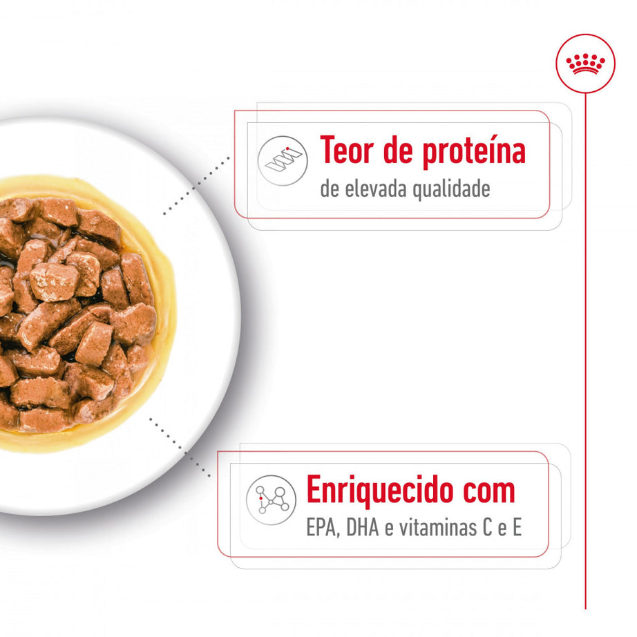 Royal Canin Dog Medium Ageing 10+ | Wet (Pouch) | 10 x 140 g