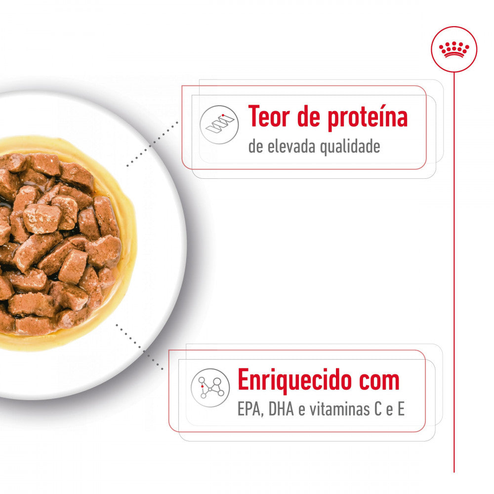 Royal Canin Dog Medium Ageing 10+ | Wet (Pouch) | 10 x 140 g