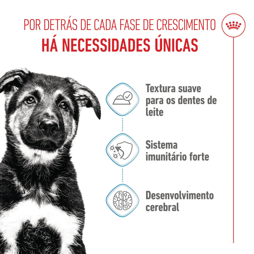 Royal Canin Dog Maxi Puppy | Wet (Pouch) | 10 x 140 g