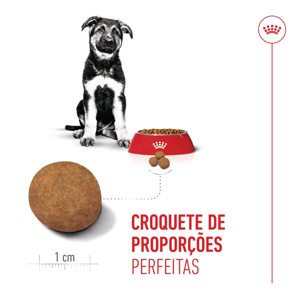 Royal Canin Maxi Puppy