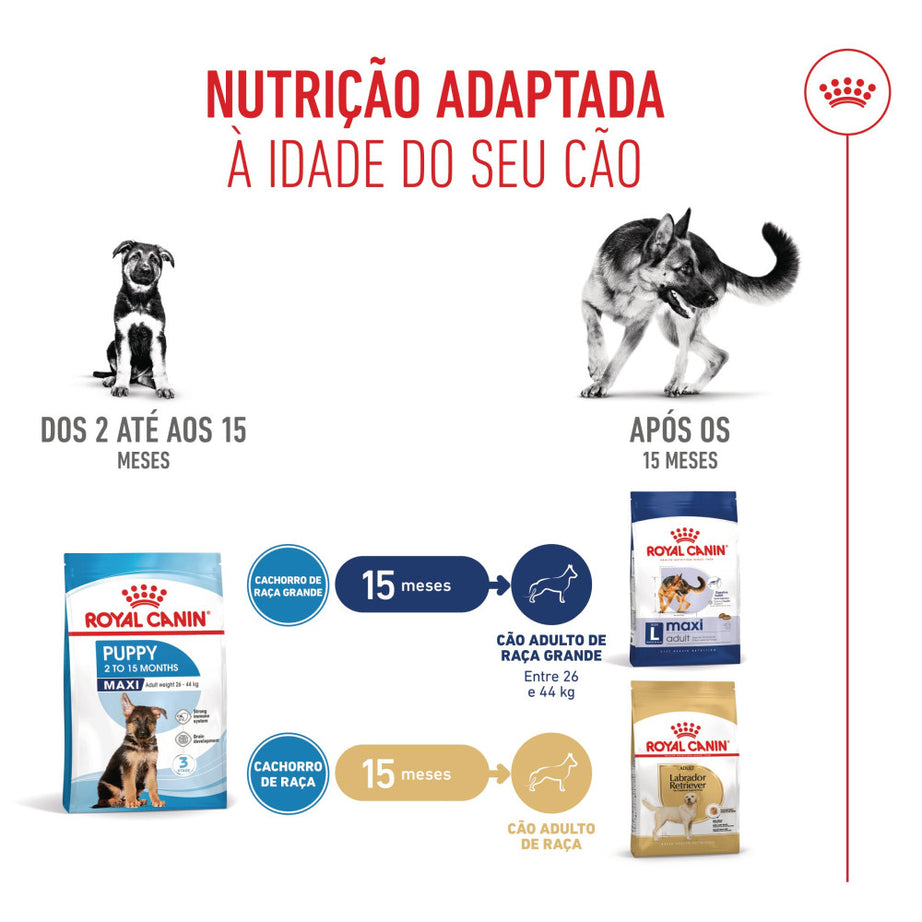 Royal Canin Maxi Puppy