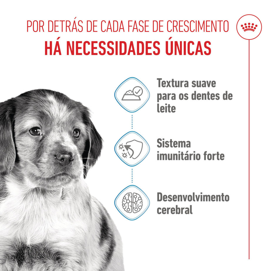 Royal Canin Dog Medium Puppy | Wet (Pouch) | 10 x 140 g