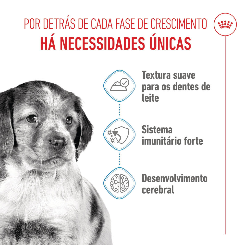 Royal Canin Dog Medium Puppy | Wet (Pouch) | 10 x 140 g