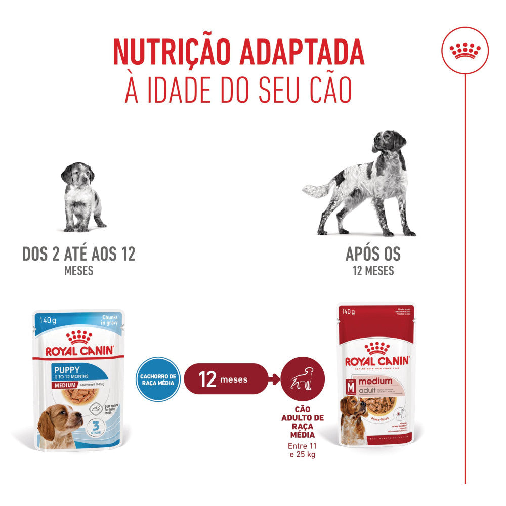 Royal Canin Dog Medium Puppy | Wet (Pouch) | 10 x 140 g