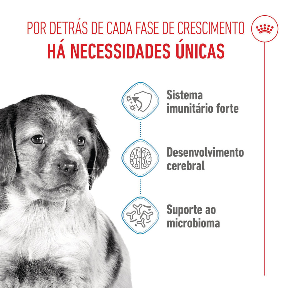 Royal Canin Dog Medium Puppy - Ração seca para cachorro de porte médio