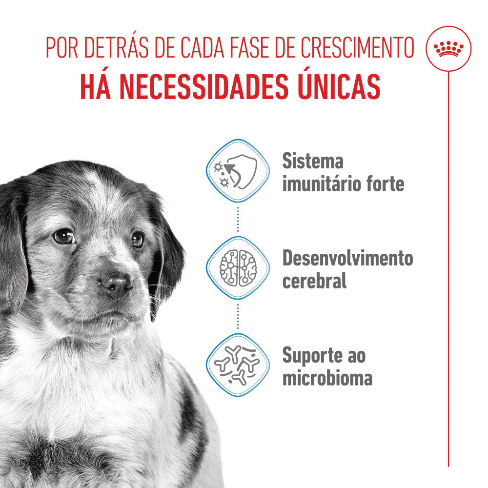 Royal Canin Dog Medium Puppy - Ração seca para cachorro de porte médio