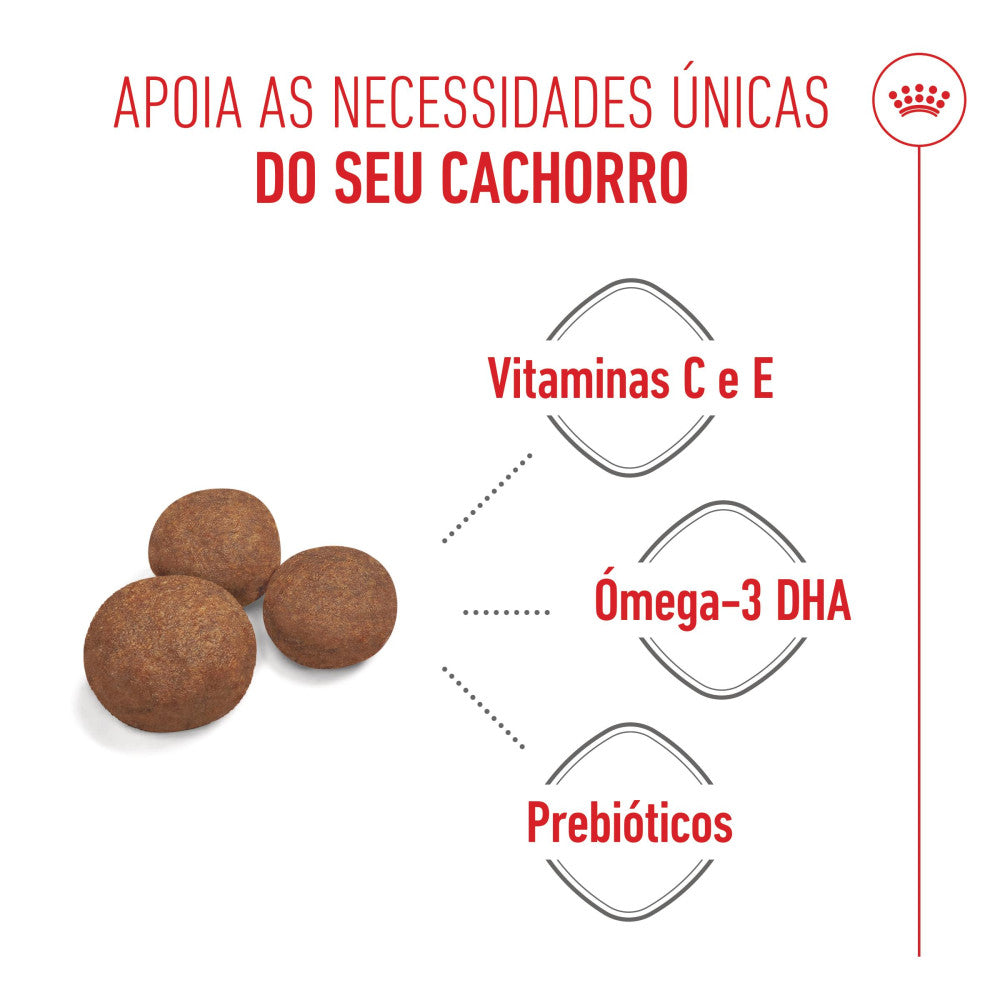 Royal Canin Dog Medium Puppy - Ração seca para cachorro de porte médio