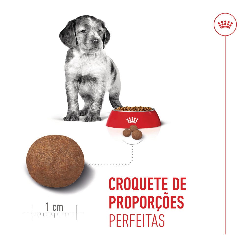 Royal Canin Dog Medium Puppy - Ração seca para cachorro de porte médio