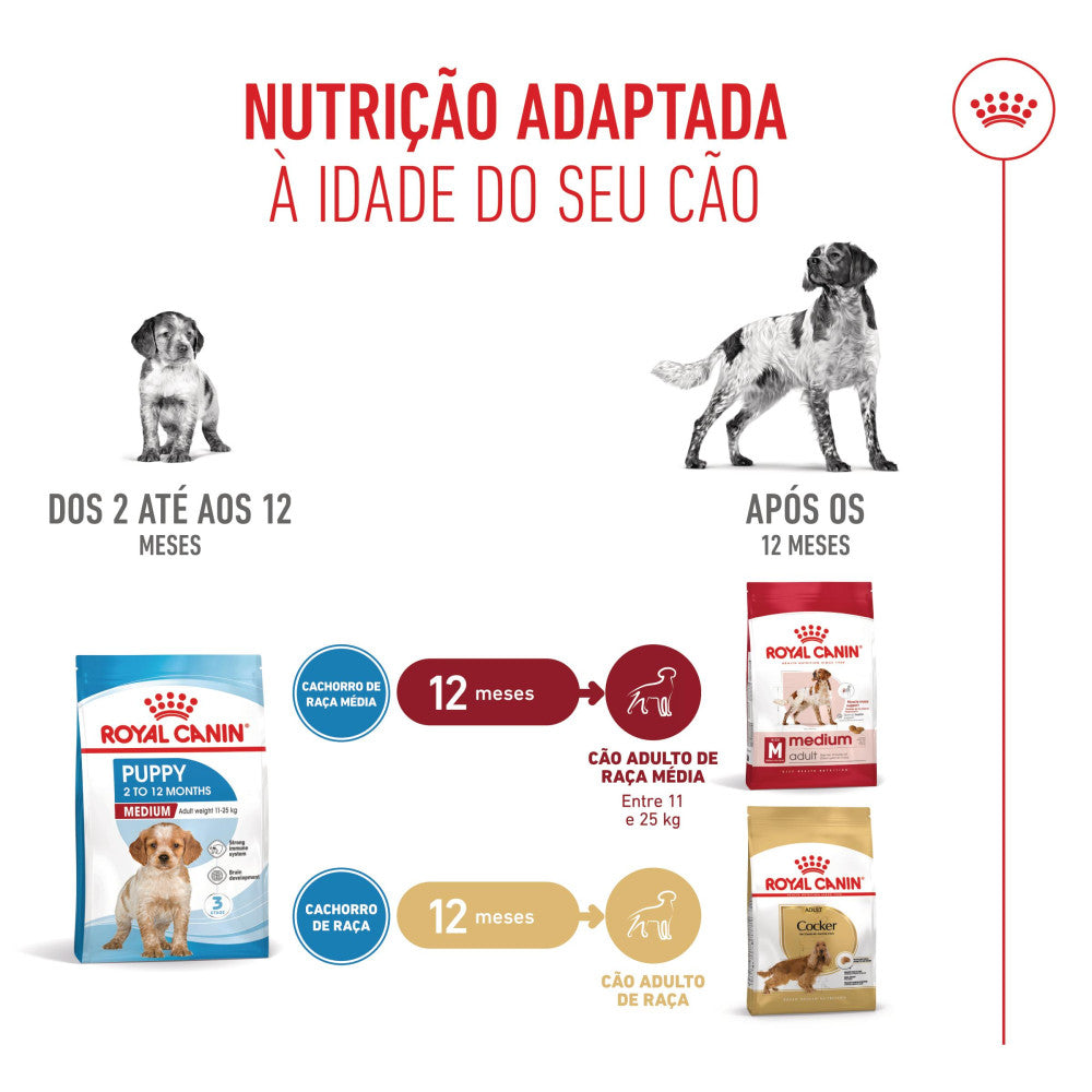 Royal Canin Dog Medium Puppy - Ração seca para cachorro de porte médio