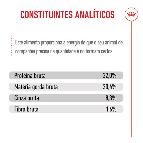 Royal Canin Dog Medium Puppy - Ração seca para cachorro de porte médio